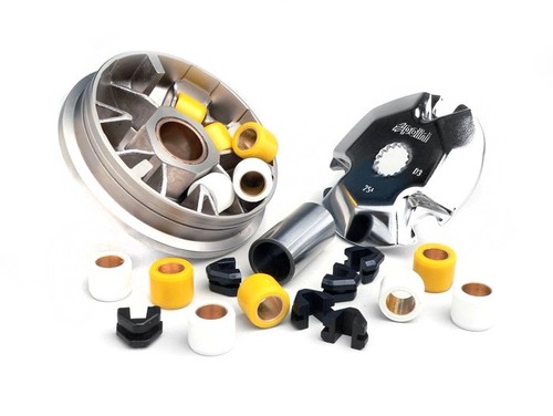 Variatore polini speedcontrol - variatore,