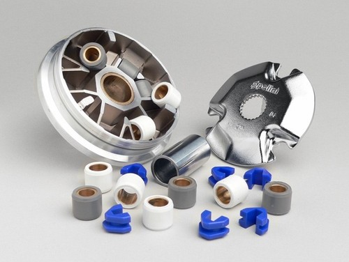 Variatore polini speedcontrol - variatore,