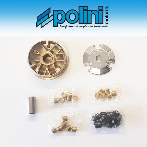 241 320 polini variatore - [polini],