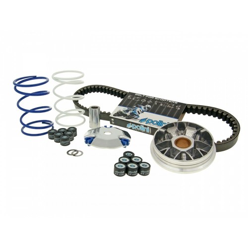 Variatore polini speed - variatore,