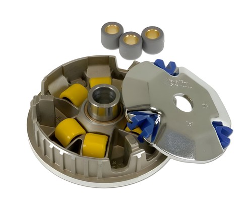 Variatore polini speed control - variatore,