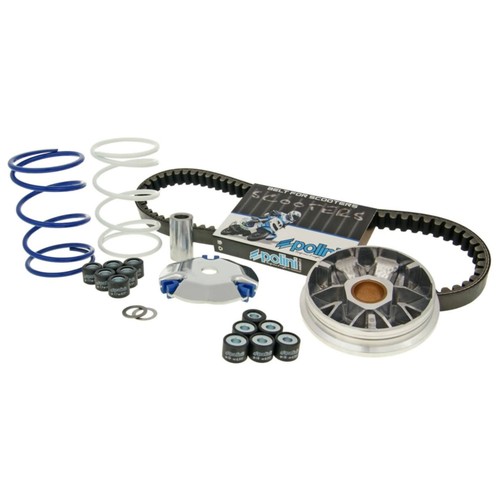 Variatore polini speedcontrol - variatore,