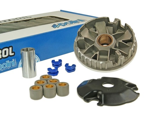 Variateur polini speed control - variateur,