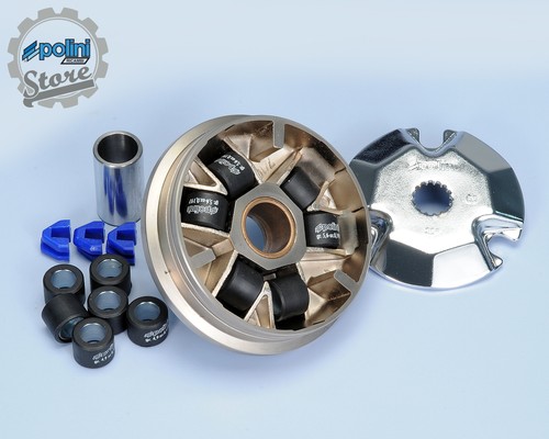 Variatore speed control - , polini